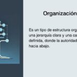 estructura-organizativa-de-una-empresa-tipos-ejemplos-y-como-definirla